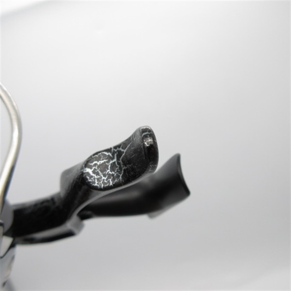 ２５銀狼ＬＢＱＤ